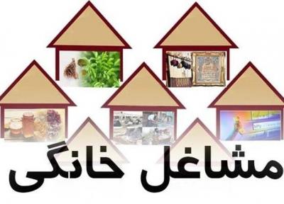 ثبت نام متقاضیان کسب وکارهای خانگی در استان گلستان