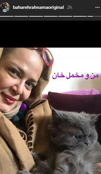 ستارگان مجازی (دوشنبه 16 بهمن 96) ستارگان مجازی (دوشنبه 16 بهمن 96)