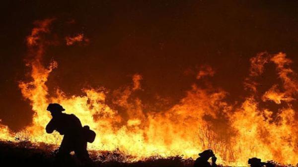 تخلیه ده ها هزار نفر از مردم استان کلرادو در پی توسعه آتش سوزی های جنگلی