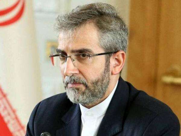 اظهارات معنادار علی باقری خطاب به ایرانیان خارج از کشور ، دولت، تضییع حقوق ایرانیان در هیچ نقطه ای از دنیا را برنمی تابد